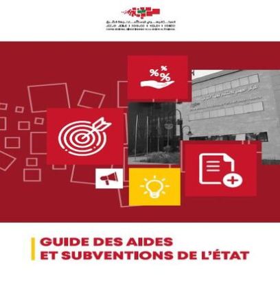 Guide des aides et subventions d